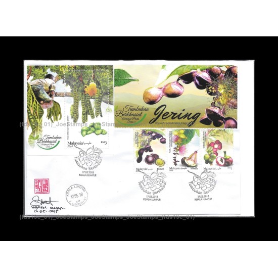 2018 Malaysia Medicinal Plants S4 Private FDC MS and Stamps Designer Signed Fine (Deep Green Header)
