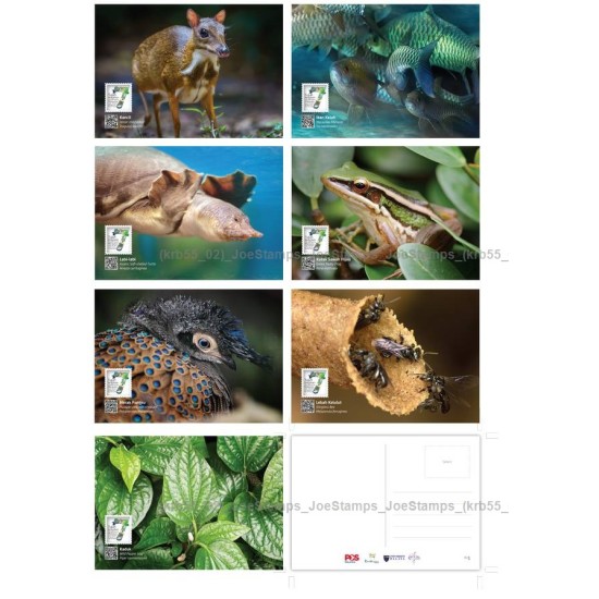 2016 Seven Wonders of Malaysia's Flora & Fauna postcards 7pcs. Postcard set of 7pcs New