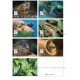 2016 Seven Wonders of Malaysia's Flora & Fauna postcards 7pcs. Postcard set of 7pcs New