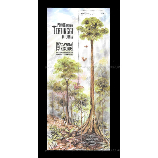 Malaysia Book of Records Overprint Tallest Tropical Tree in the World 2022 Folder set
