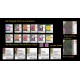 2018 Malaysia Definitive Garden Flowers FT with Micro Text Printing 10s-50s+40s microtext flaw + 2007 Issue 5s-50s (12v) 2007 20c corner perf chip Set of 12v stamps MNH MISPERF