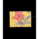 1979 Malaysia Definitive Flowers Wilayah Persekutuan 15c stamps Error Perf Shift MNH Fine