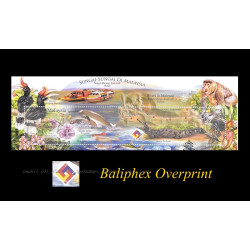  Rivers in Malaysia ovp Panfila BALIPHEX 2018 MS CTO Used no gum Fine