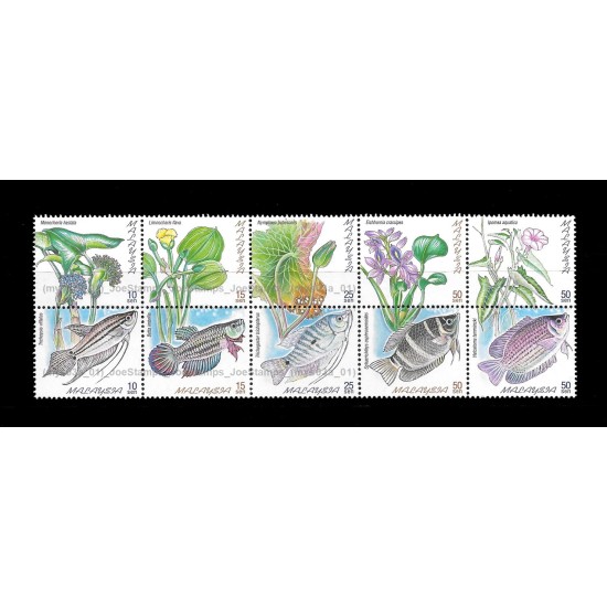 1999 Freshwater Fishes of Malaysia Set of 10v in one single block MNH Fine